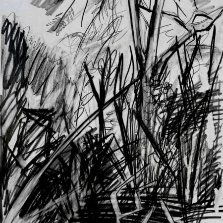 Trees Negative