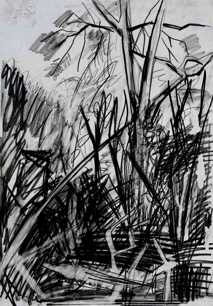 Trees Negative