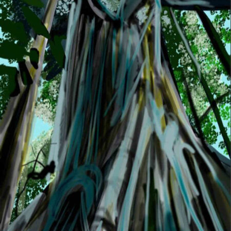 Canopy