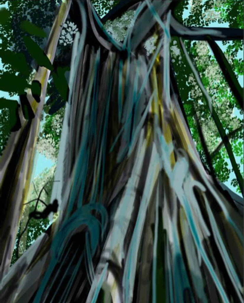 Canopy
