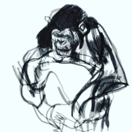 Chimp