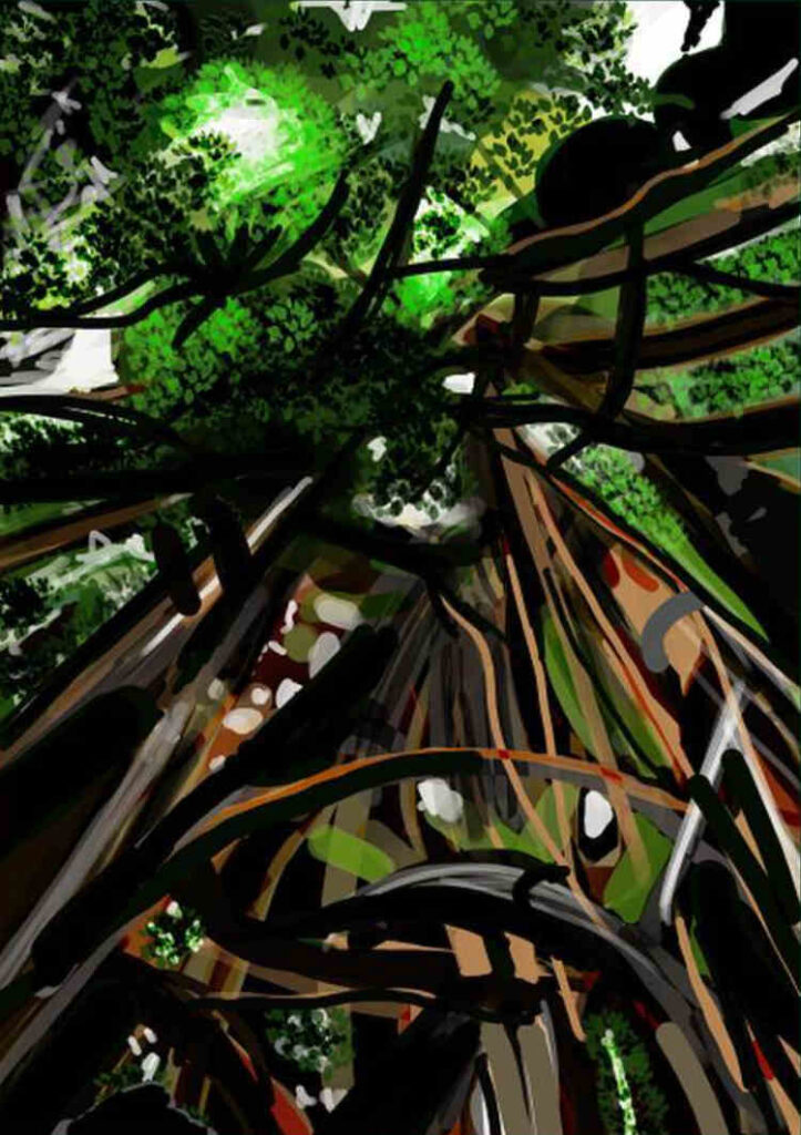 Jungle