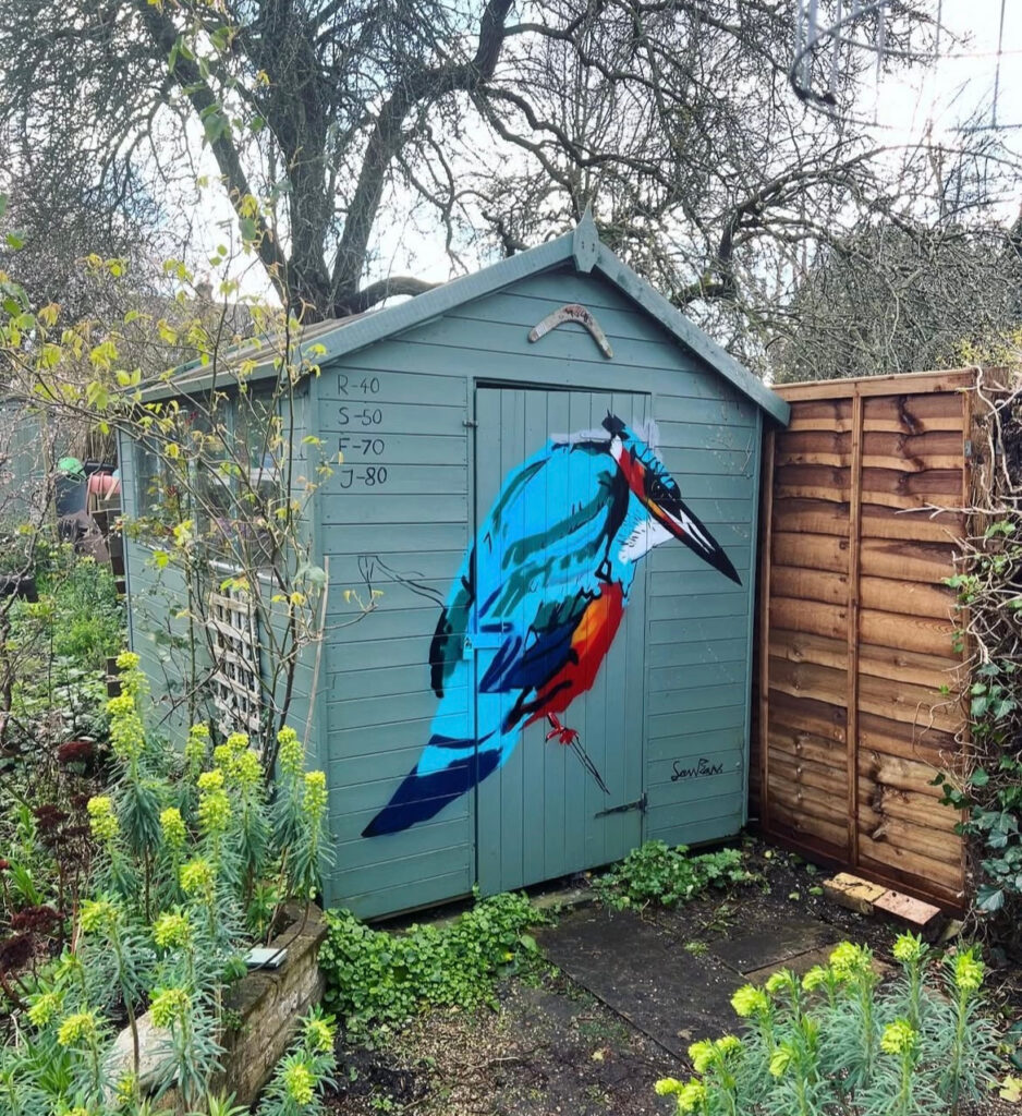 Kingfisher 2