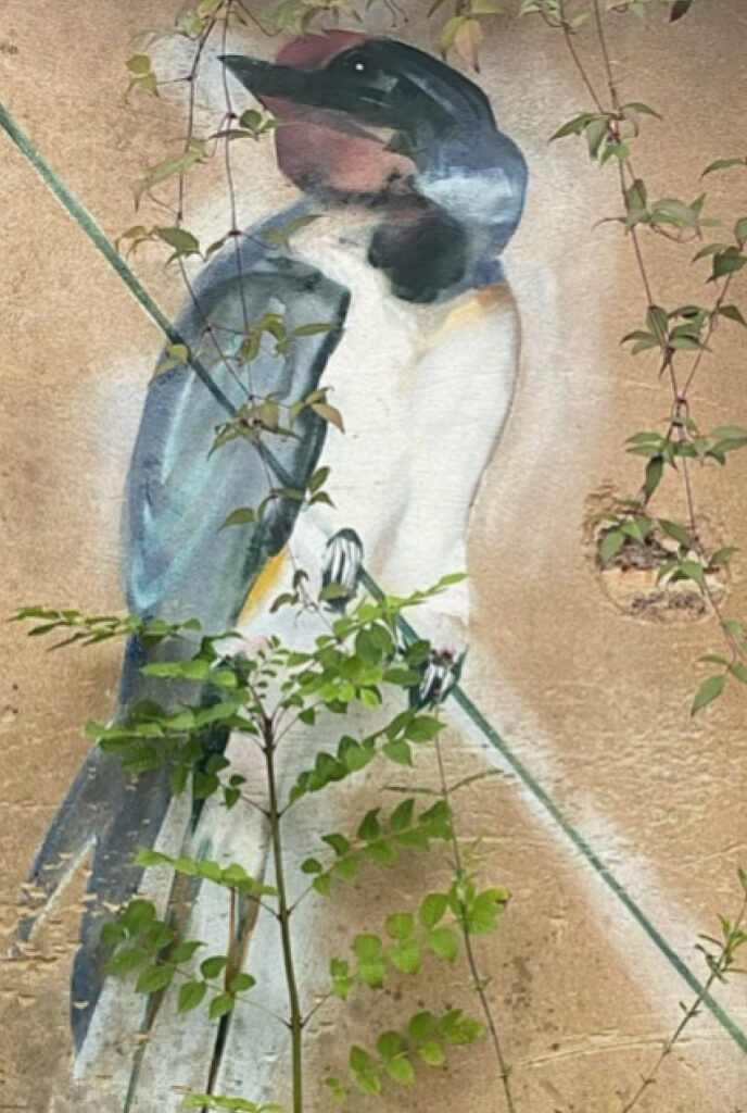 Swallow on wire